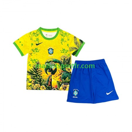 Maillot de Foot Brésil Special Enfant Domicile 2026
